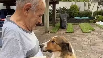Idoso com Alzheimer reencontra pet e prova que o amor supera qualquer barreira