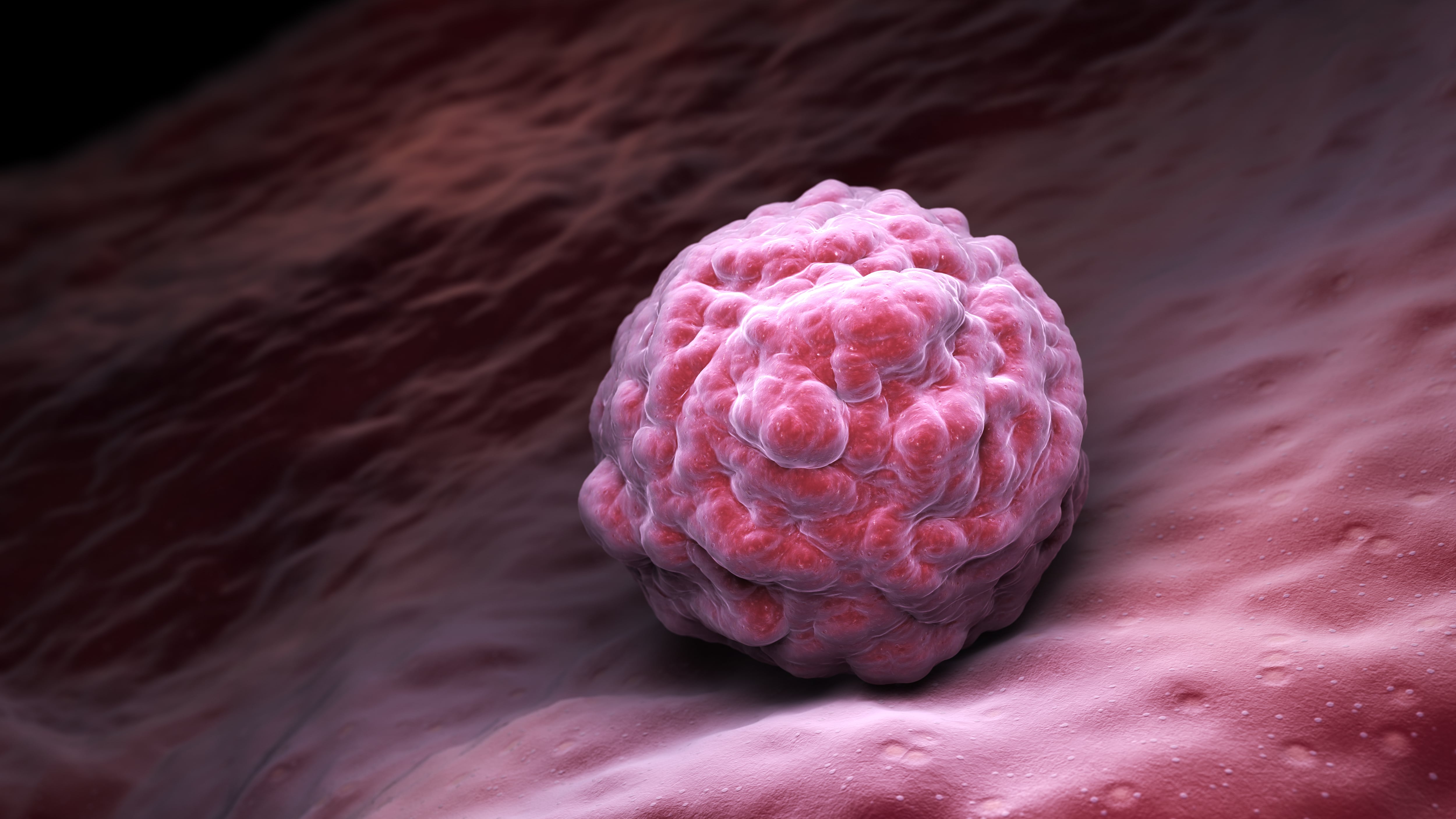 Células madre embrionarias