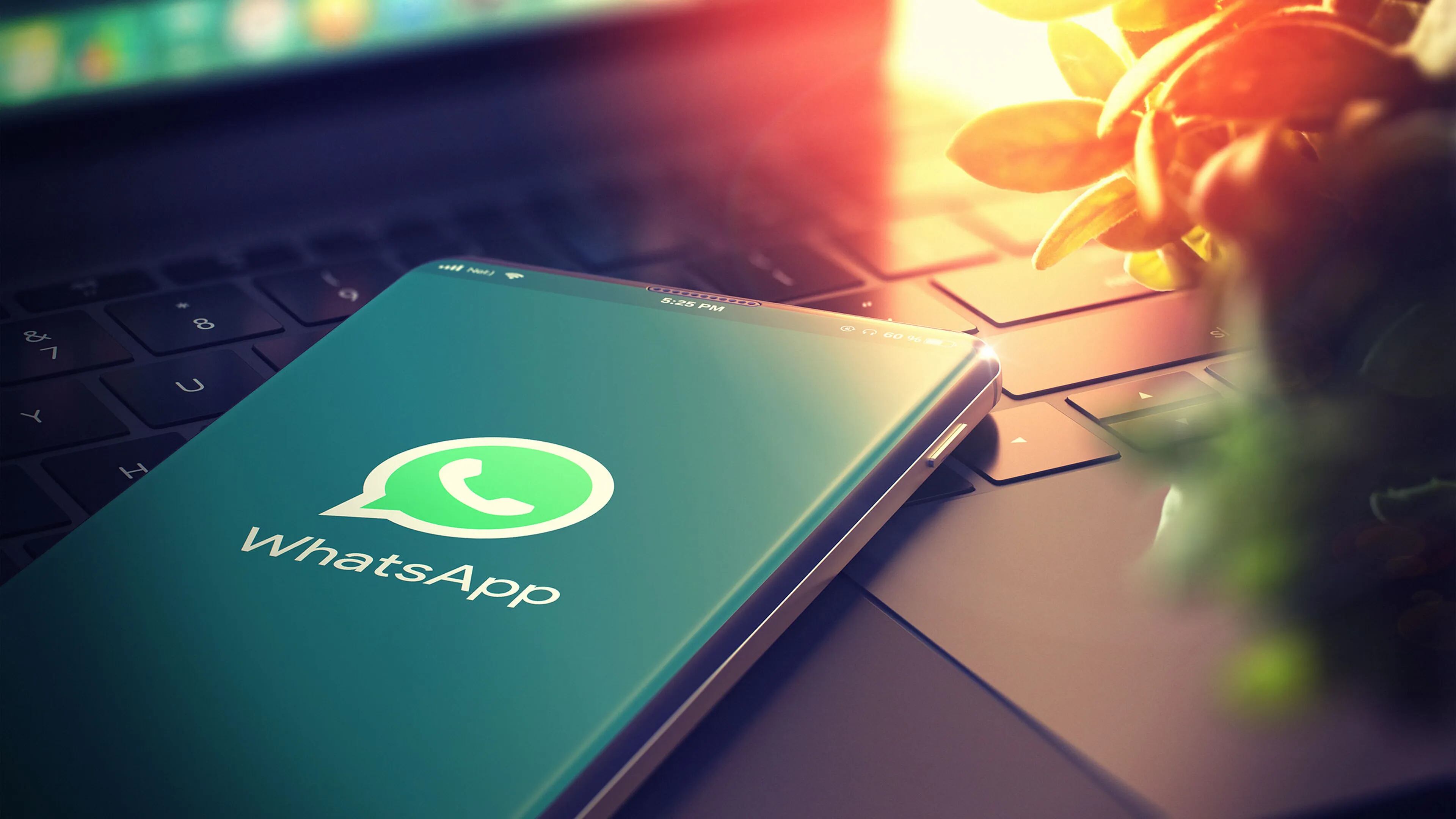 Conoce las novedades liberadas a nivel global en WhatsApp para la publicación de Estados. Emojis, privacidad, vista previa de enlaces y más.