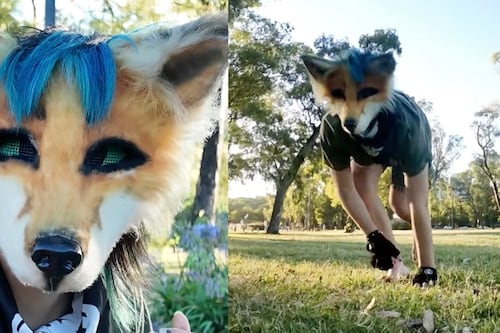 O que significa therian e qual a diferença de um furry?