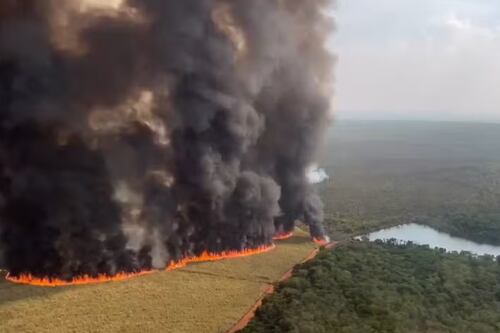 Defesa Civil alerta para risco de queimadas em SP até a próxima quarta (2)