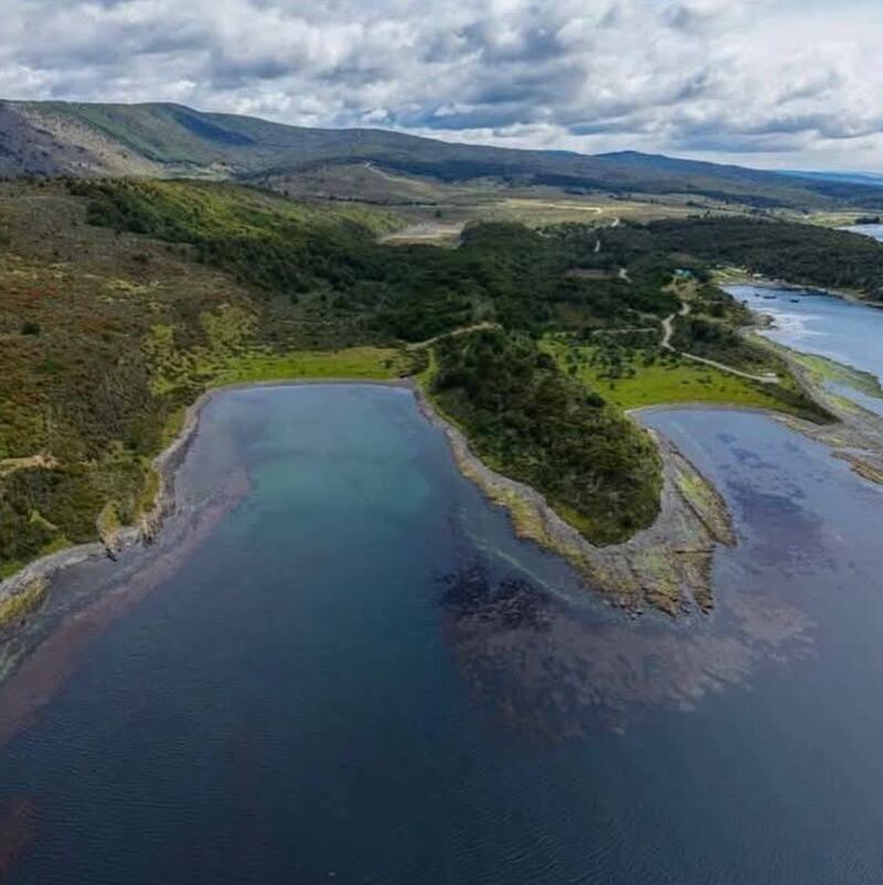 Encuentran histórica moneda en Magallanes - RTV