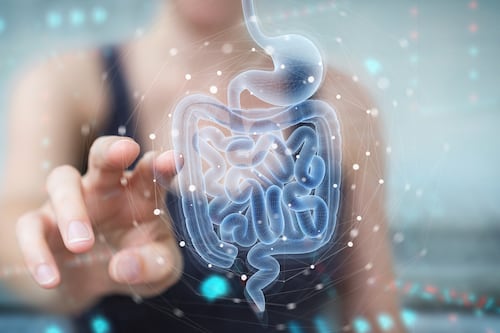 Probióticos em cápsulas, sua importância e como incluí-los em sua dieta diária para melhorar a saúde